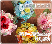 セリーズ(4coler)￥3,473